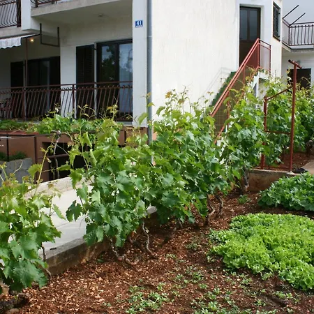 With Parking Space Brodarica, Sibenik - 6313 * Brodarica (Sibenik-Knin)