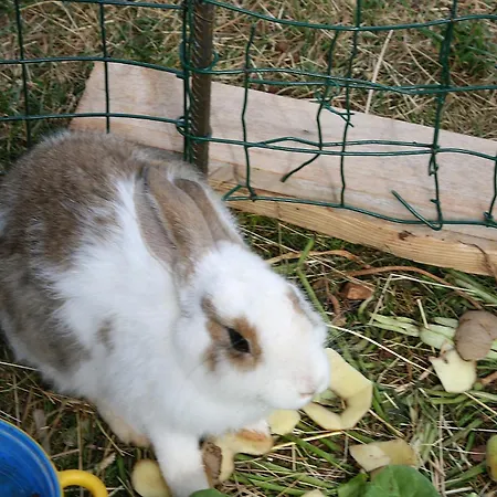 Apartmán With Parking Space Brodarica, Sibenik - 6313