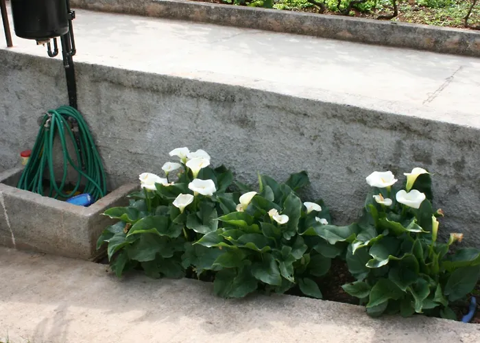 With Parking Space Brodarica, Sibenik - 6313 Appartement