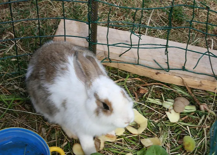 Appartement With Parking Space Brodarica, Sibenik - 6313